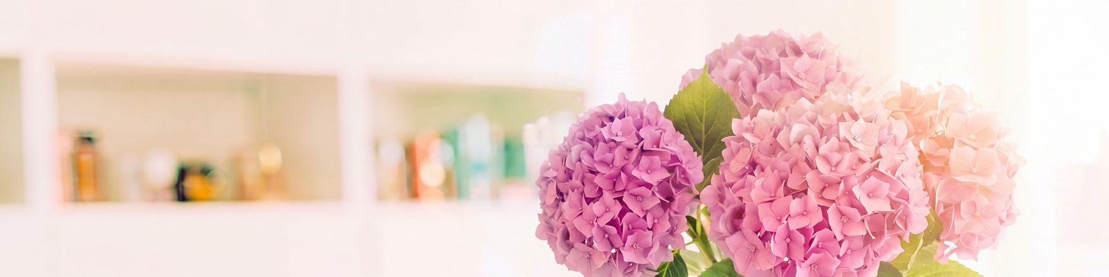 Rosa und violette Hortensienblüten als Symbol für Kreativität und Ästhetik bei Klieber Artworks Webeagentur in Bad Salzuflen